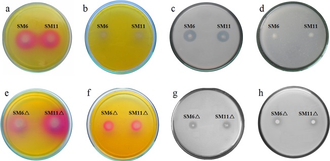 Fig 6