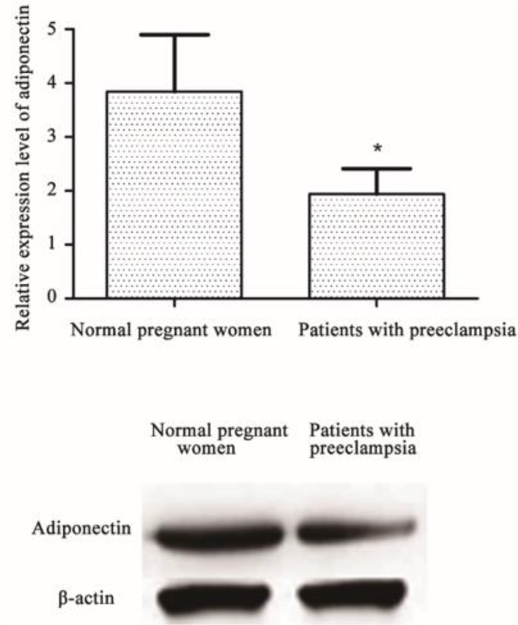 Fig. 3: