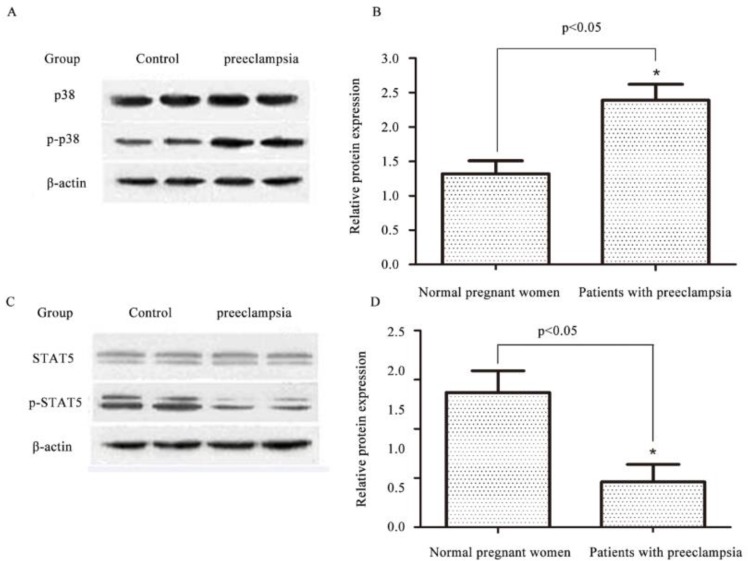 Fig. 4: