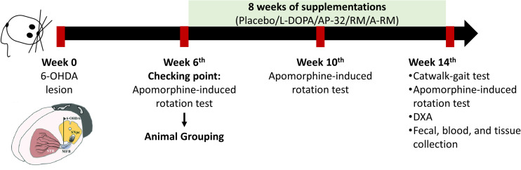 FIGURE 1