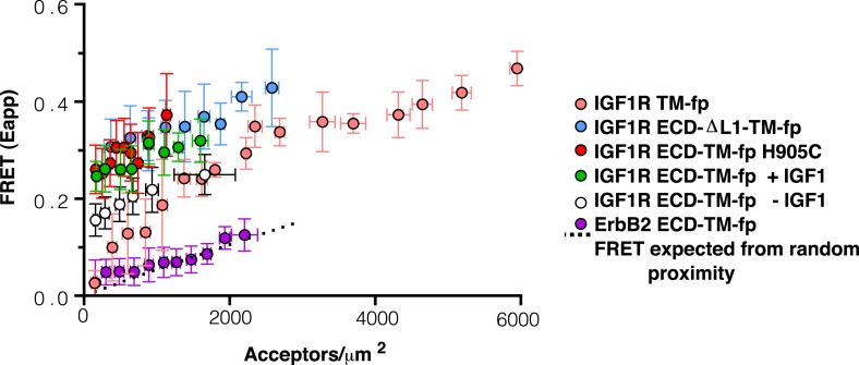 Figure 4—figure supplement 1.