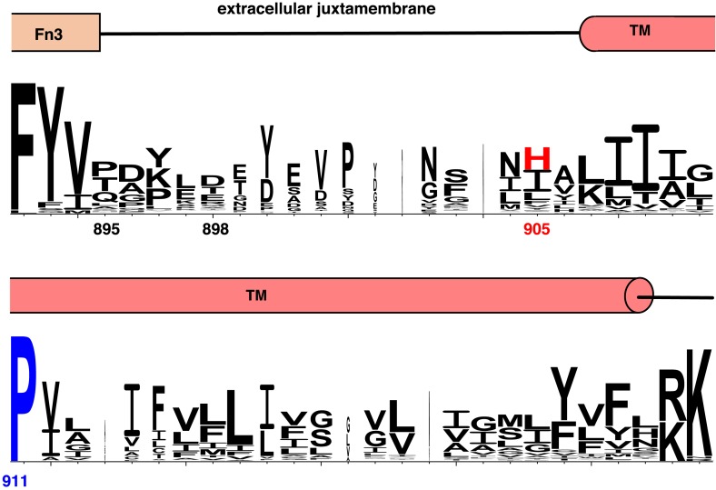 Figure 5—figure supplement 1.