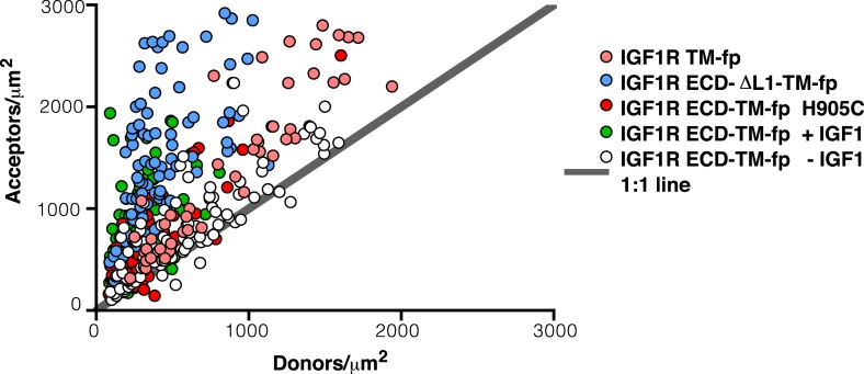 Figure 4—figure supplement 2.