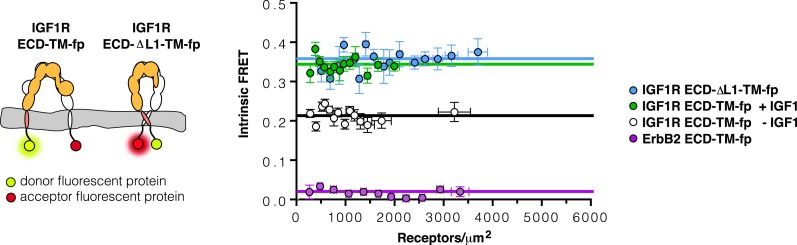 Figure 4—figure supplement 4.