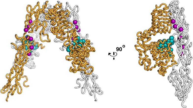 Figure 1—figure supplement 1.