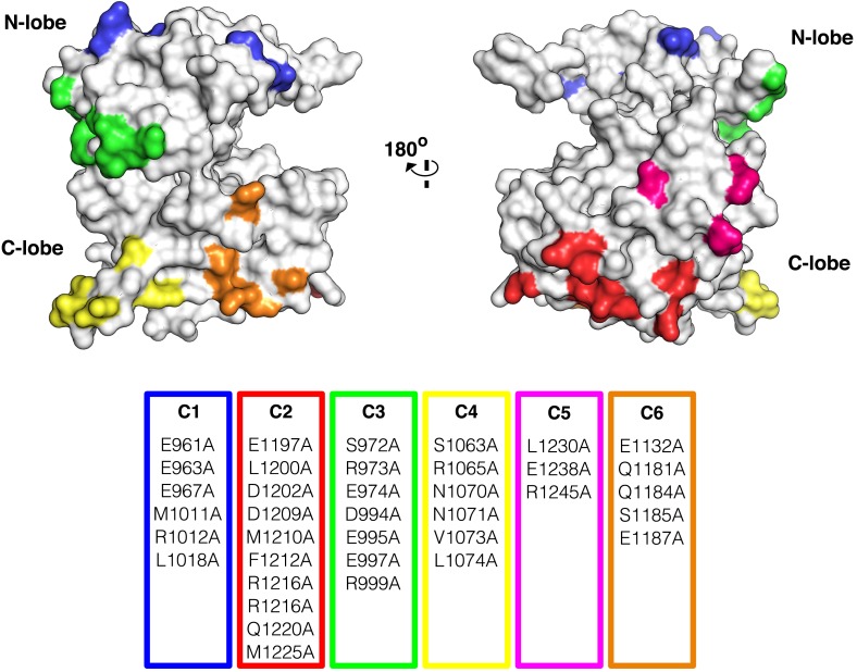 Figure 8—figure supplement 2.