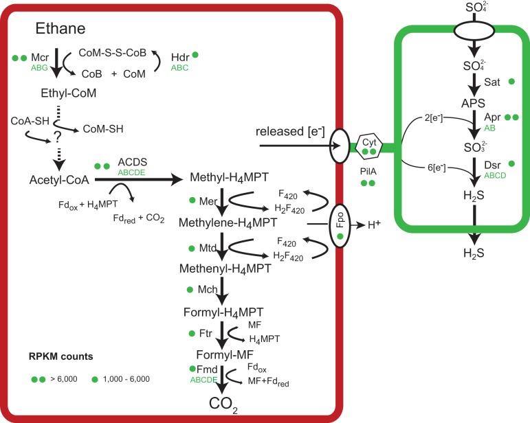 FIG 4