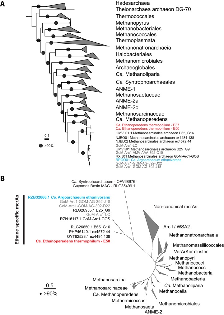 FIG 3