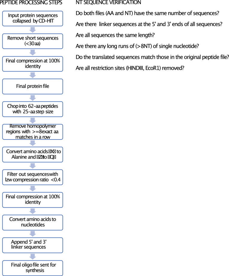 Figure 1—figure supplement 1.