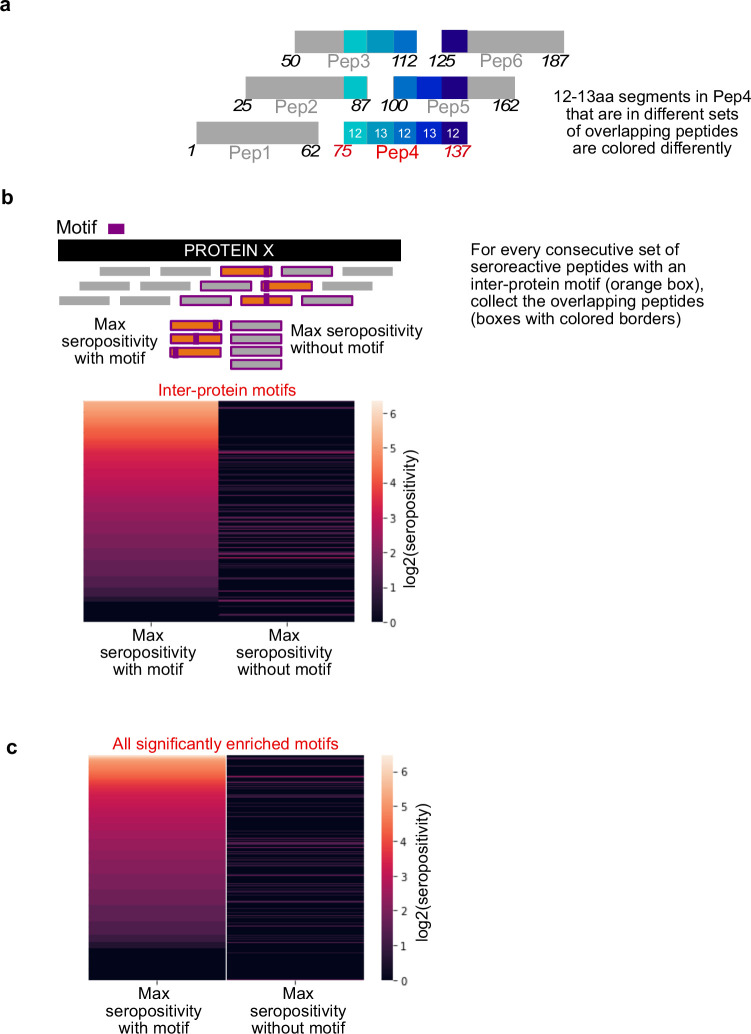 Figure 6—figure supplement 2.