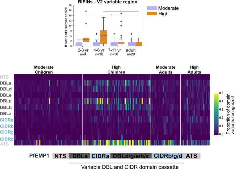 Figure 2—figure supplement 6.