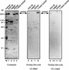 FIG. 8