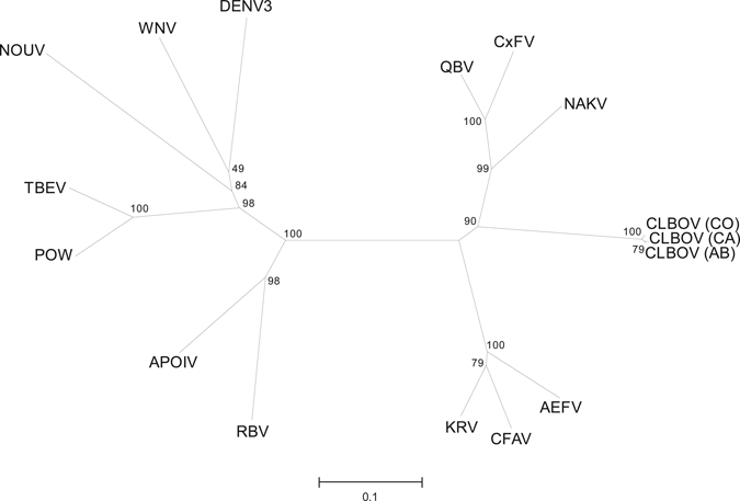 Figure 2.