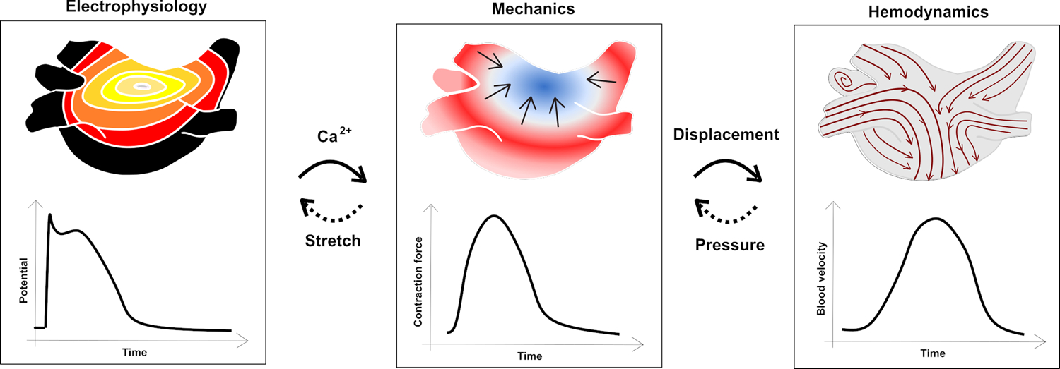 Figure 3: