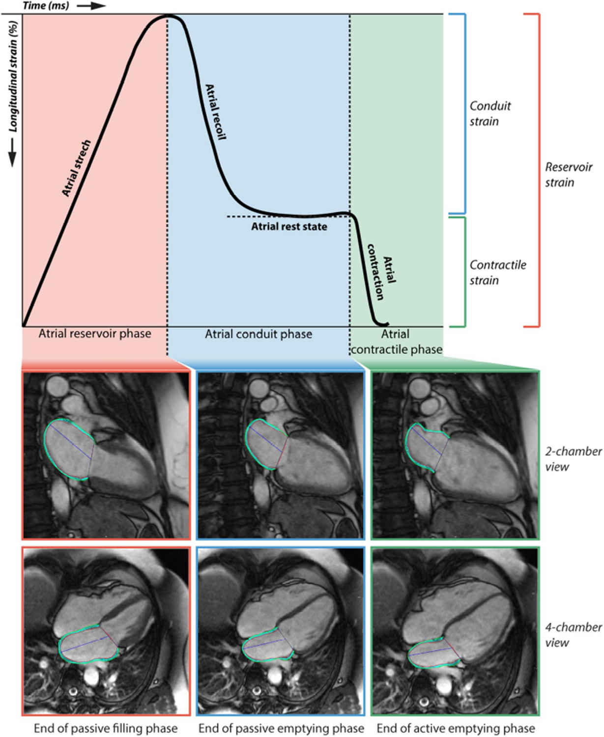 Figure 2: