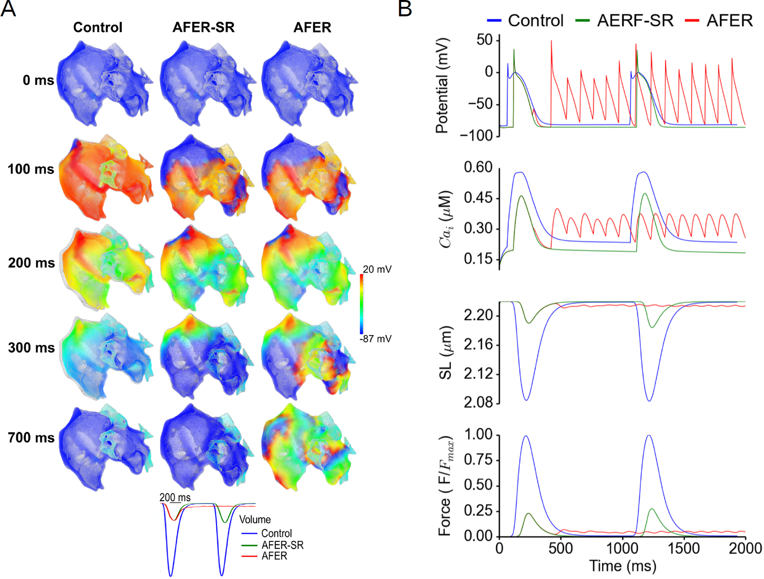 Figure 4: