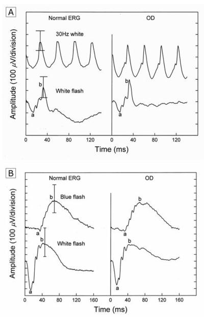 Fig. 4