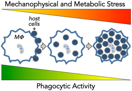 graphic file with name nihms829692u1.jpg