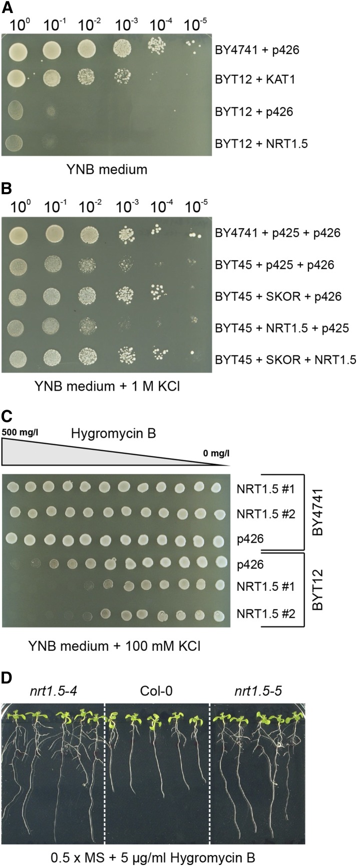 Figure 6.