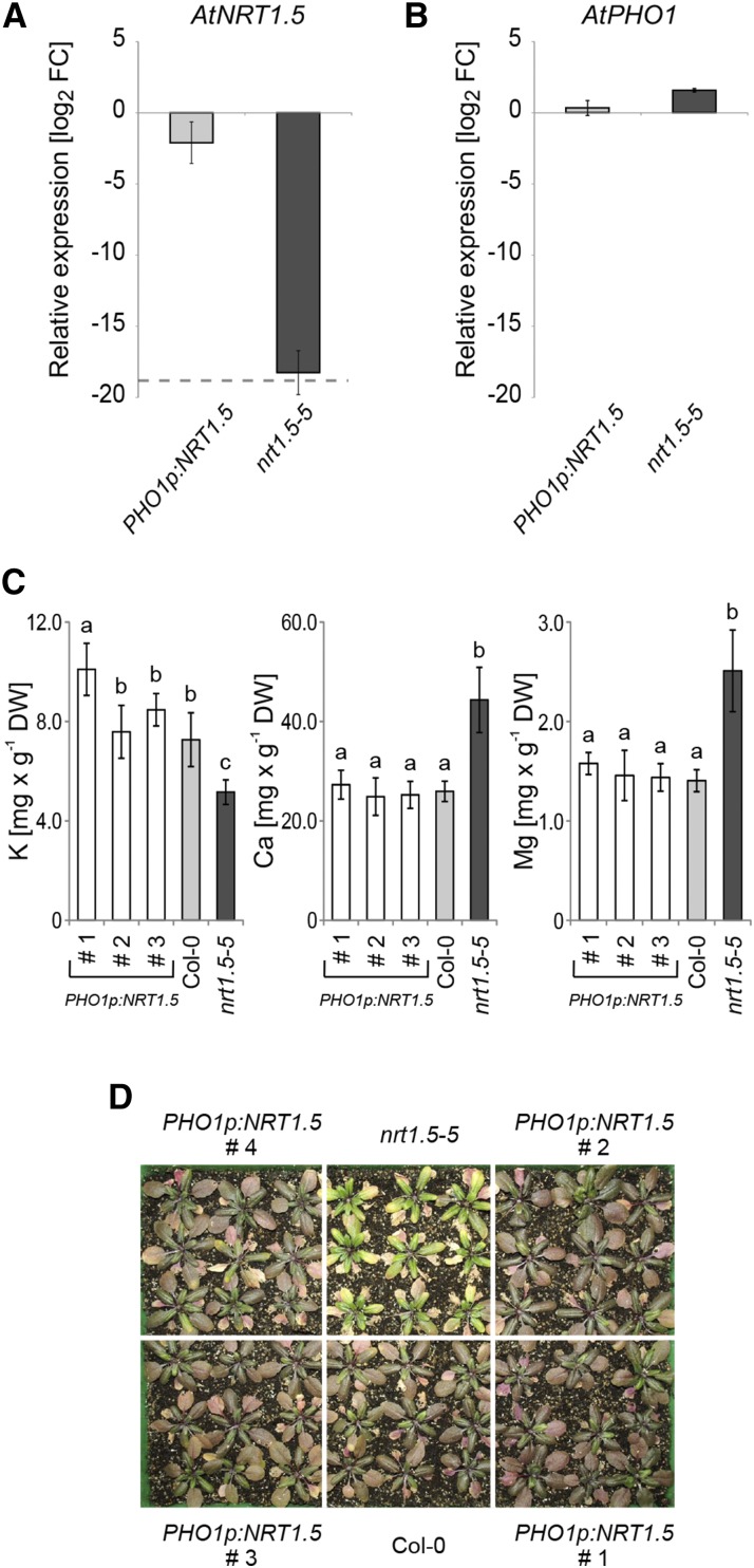 Figure 5.