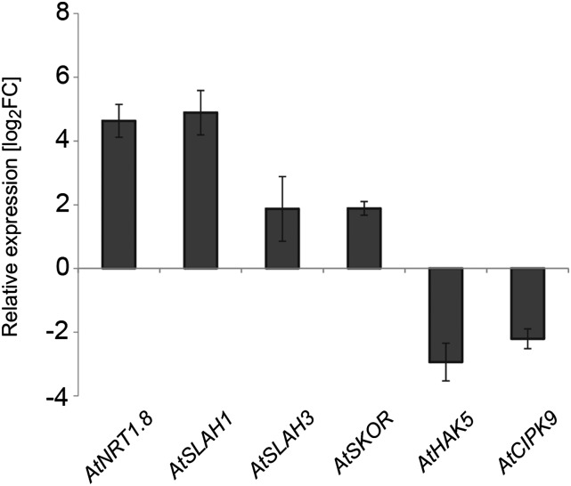 Figure 3.