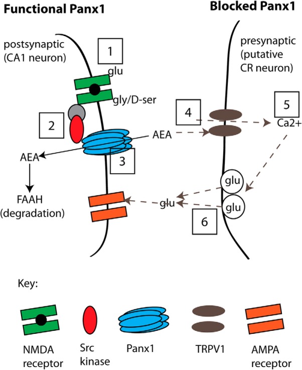 Figure 11.