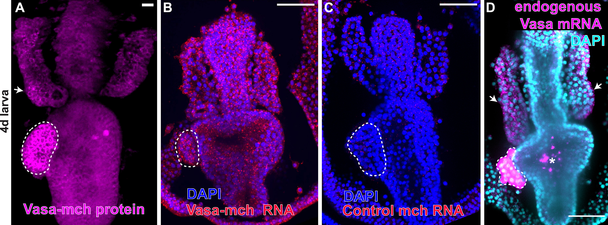 Figure 2.