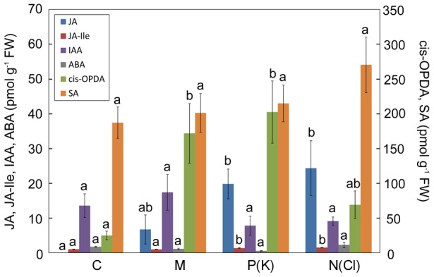 Figure 7