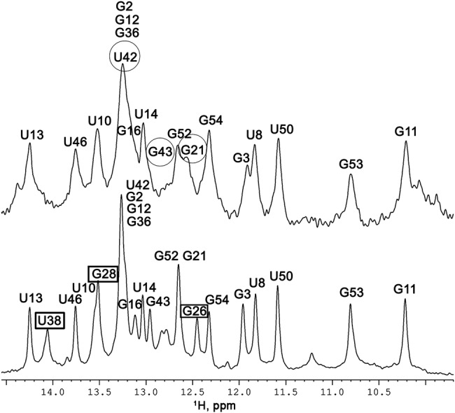 FIGURE 3.