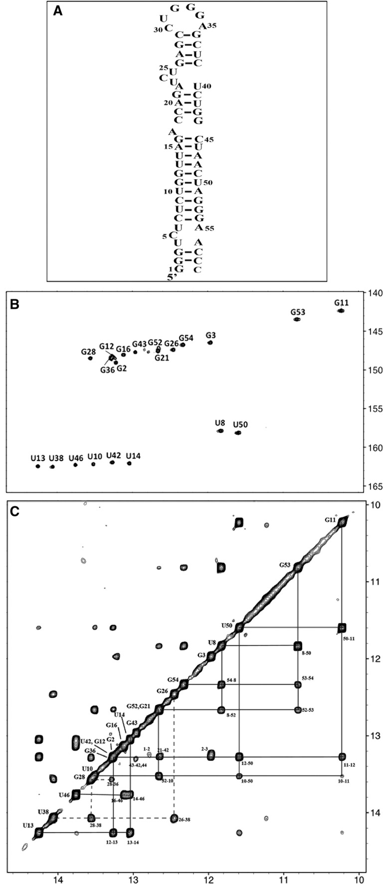 FIGURE 1.