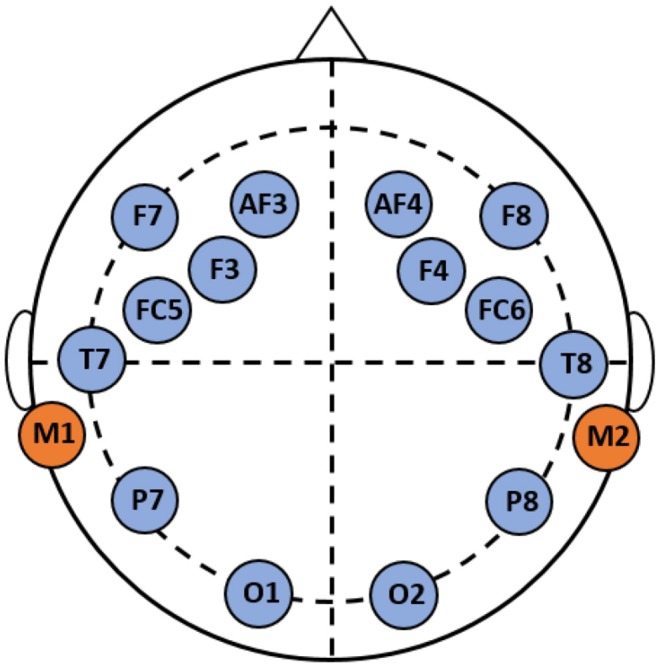 Figure 2