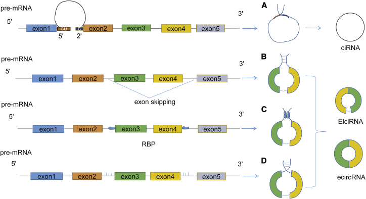 Figure 1