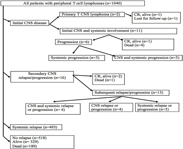 Figure 1