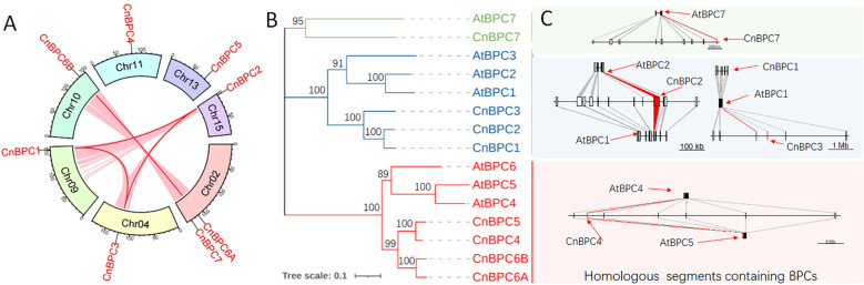 Figure 2