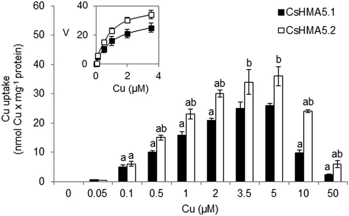 FIGURE 7.