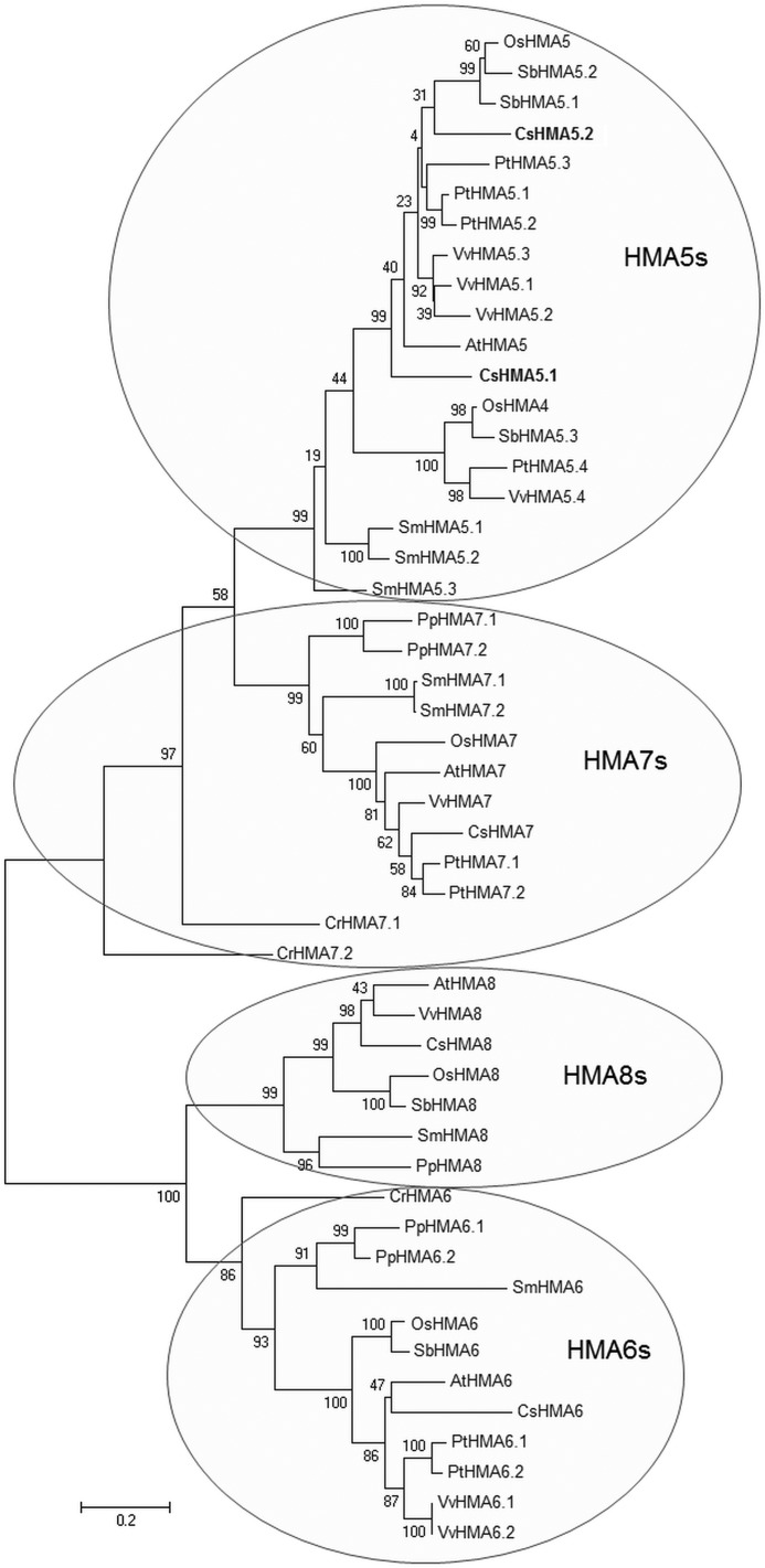 FIGURE 1.