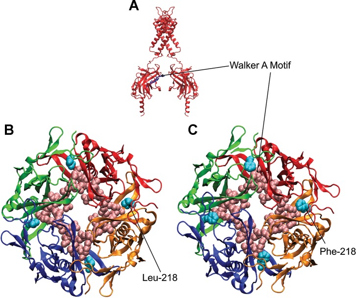 Fig. 7.