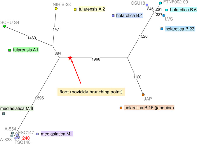 FIG 1