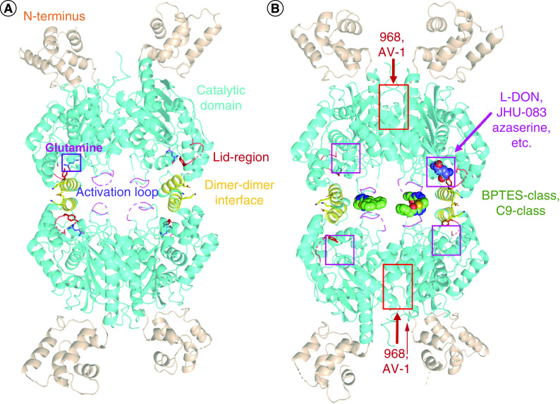 Figure 4. 