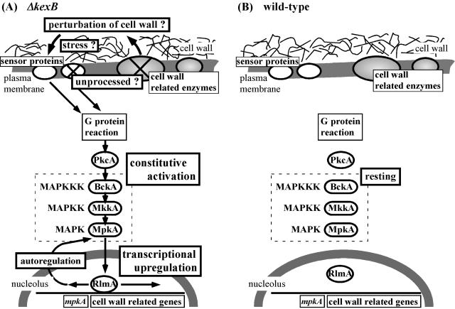 FIG. 7.