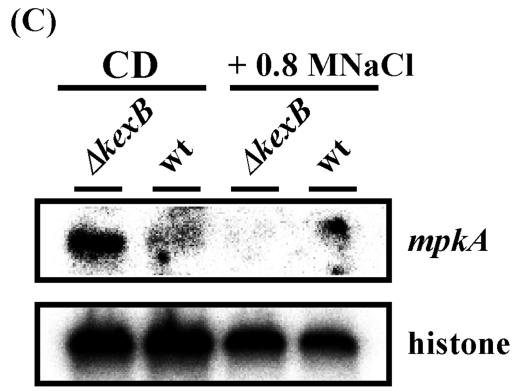 FIG. 5.