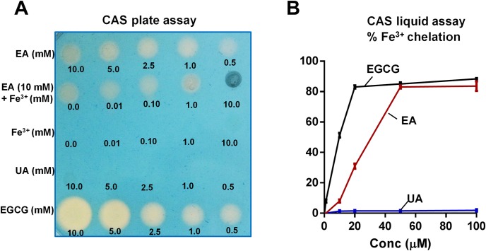 Fig 2