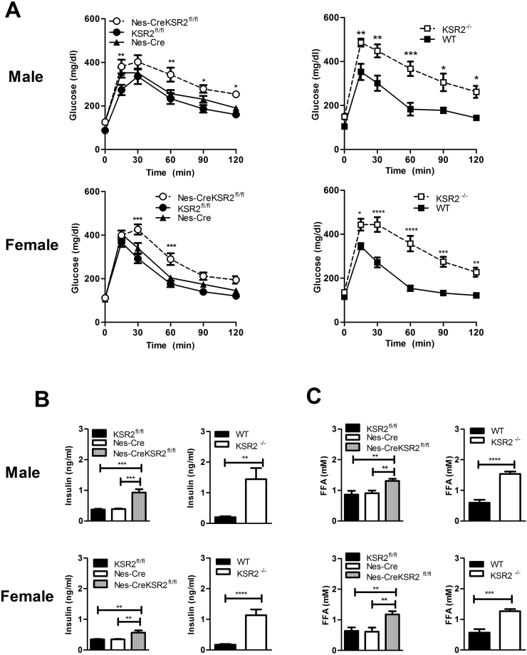 Figure 5