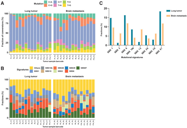 Figure 3. The distinct signature landscape of PTs and matched BMs. A, The fraction of six substitution subtypes SNV in each group. B, Fractions of SBS signatures in each group. C, The average fraction difference of the top eight signatures in each group.