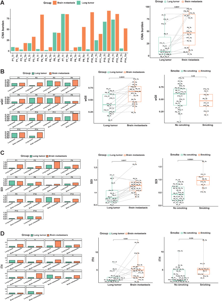 Figure 2. Distinct CNA burden, wGII, SDI, ITH of PTs, and matched BMs. A, Comparison of the CNA burden between primary lesions and matched BMs. B, Comparison of wGII between primary lesions and matched BMs. C, SDI analysis of primary lesions and matched BMs. D, ITH analysis in primary lesions and matched BMs.