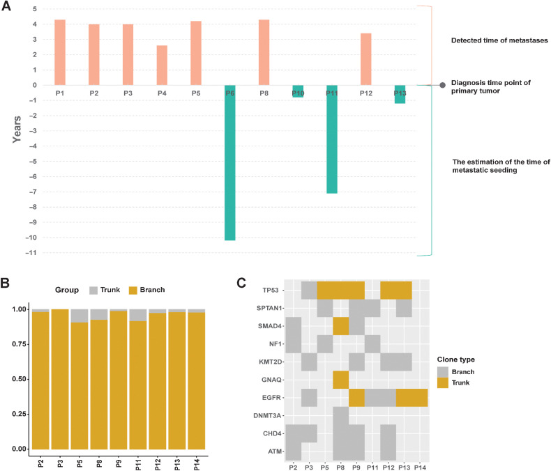 Figure 4. The timing of dissemination and clonal evolution analysis. A, Estimated time of metastatic seeding (Ts) for metastases in each cohort. B, Distribution of trunk and branch variants in each sample. Trunk variants encompassed those that occurred on the root node and its only child node; all others were classified to have occurred in the branch. C, Genes associated with lung cancer in each sample.