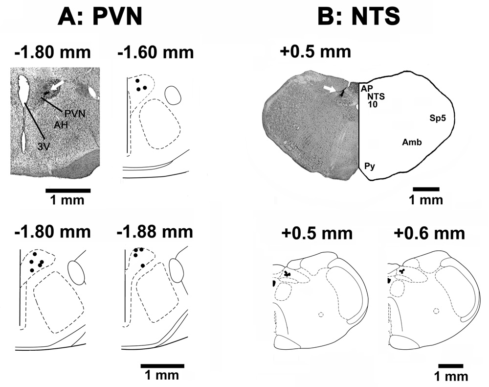 Fig. 8