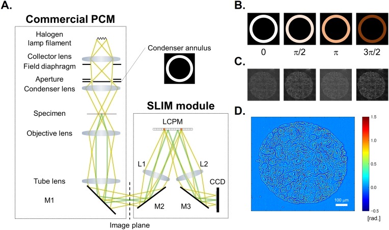 Fig 1