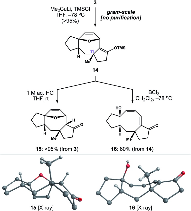 Scheme 4