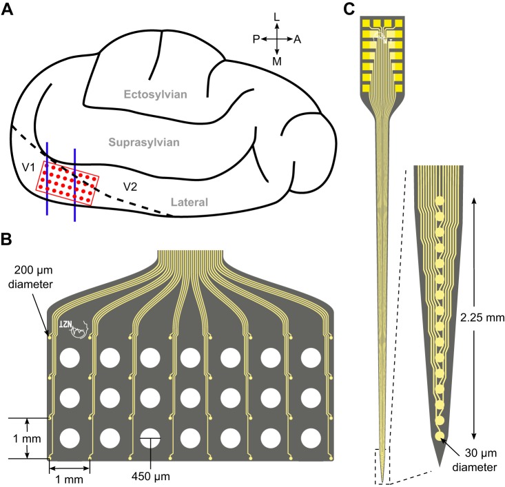 Fig. 1.